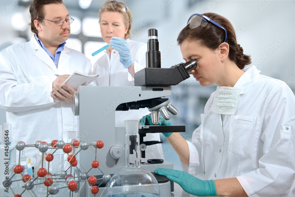 scientists working at the laboratory scientists working at the laboratory