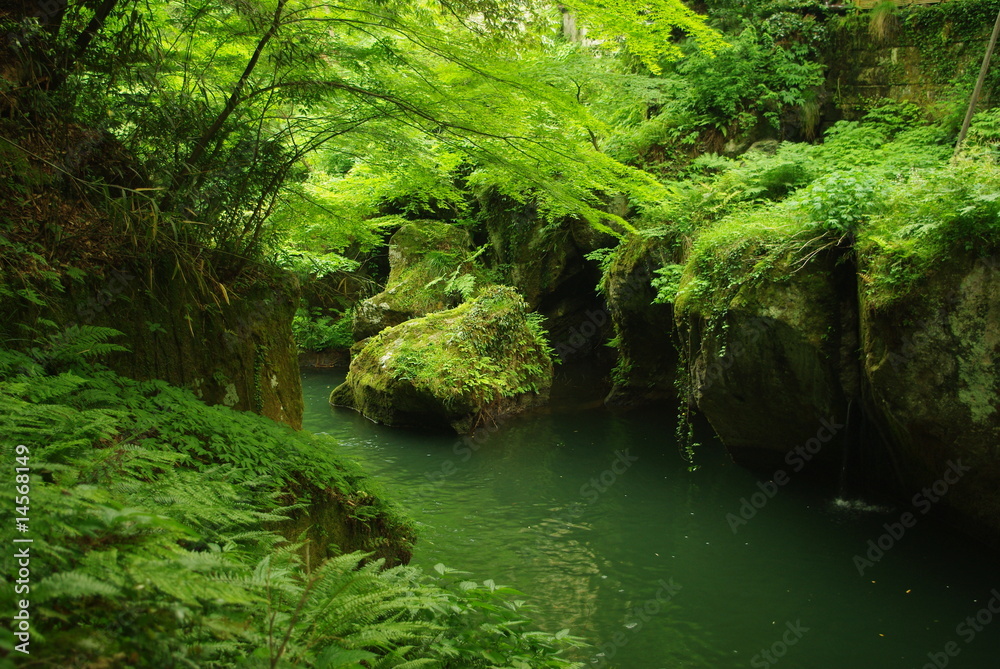 Naklejka premium 日本の渓流