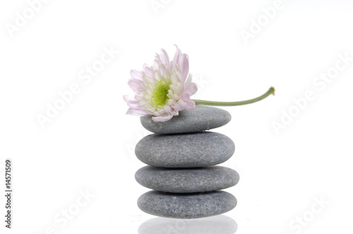 Zen spa stones with flower
