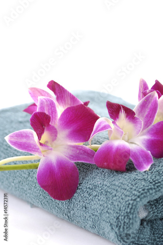 Beautiful orchid and spa towel