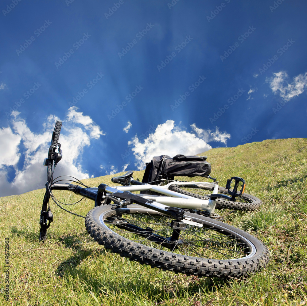 Naklejka premium Bike on grass
