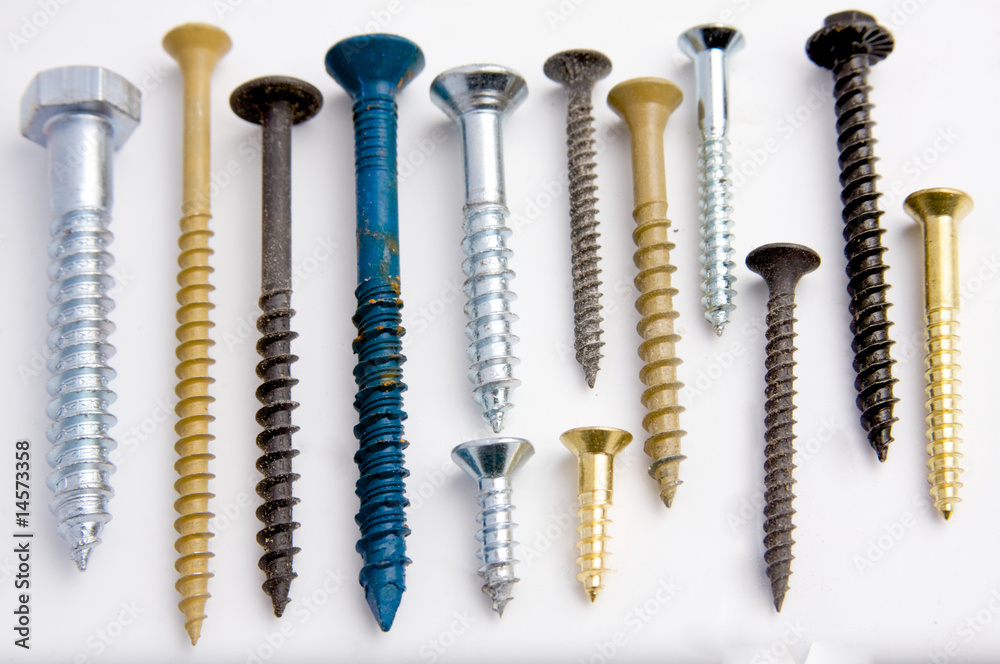 A collection of assorted screws A collection of assorted screws