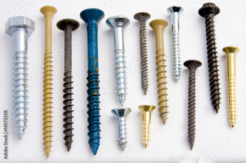 A collection of assorted screws