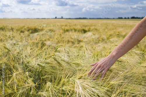 Wallpaper Mural Female hand the afield Torontodigital.ca
