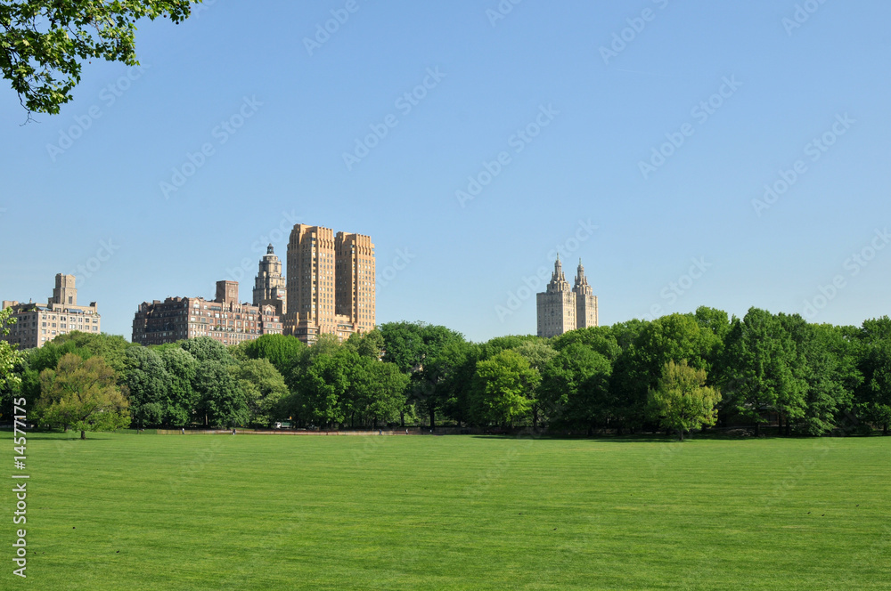 Central Park on a Clear Blue Morning.