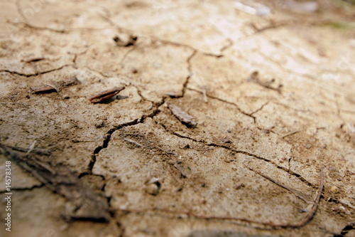 sfondo terra arida