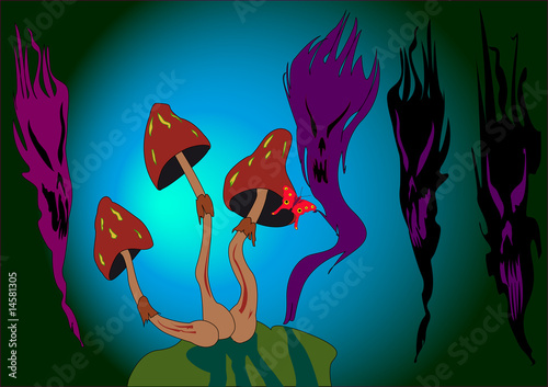 Magix Mushrooms photo