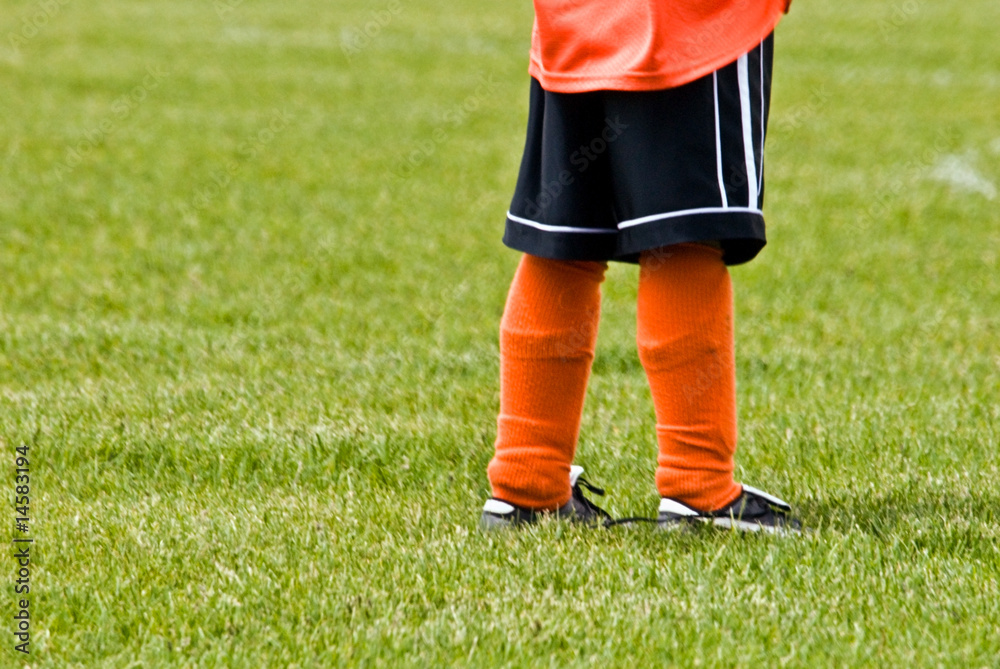 Obraz premium Soccer Socks