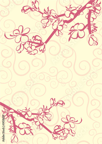 sakura