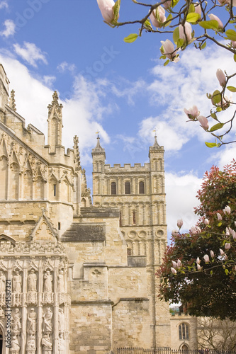 view of Exeter cathedral with magnolia trees in blossom during s