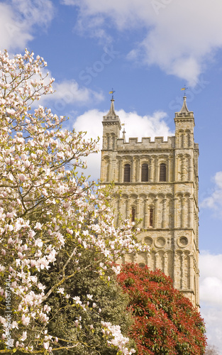 view of Exeter cathedral with magnolia trees in blossom