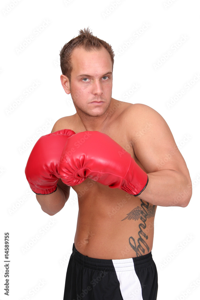 male boxer