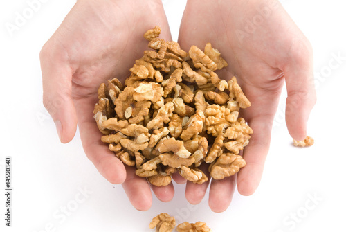 Human hand holding walnut nuts