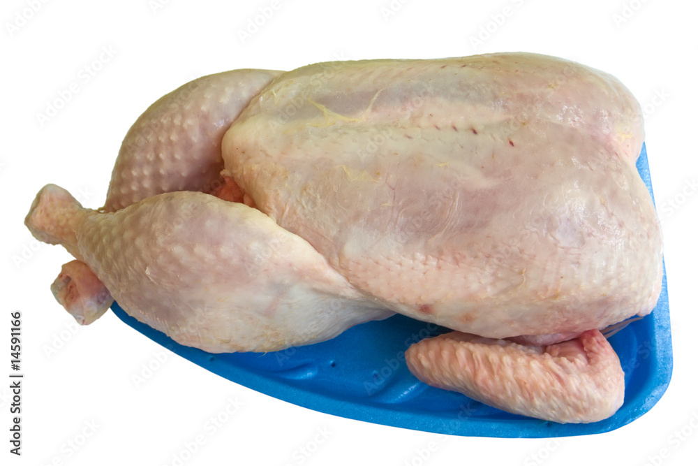chicken chicken
