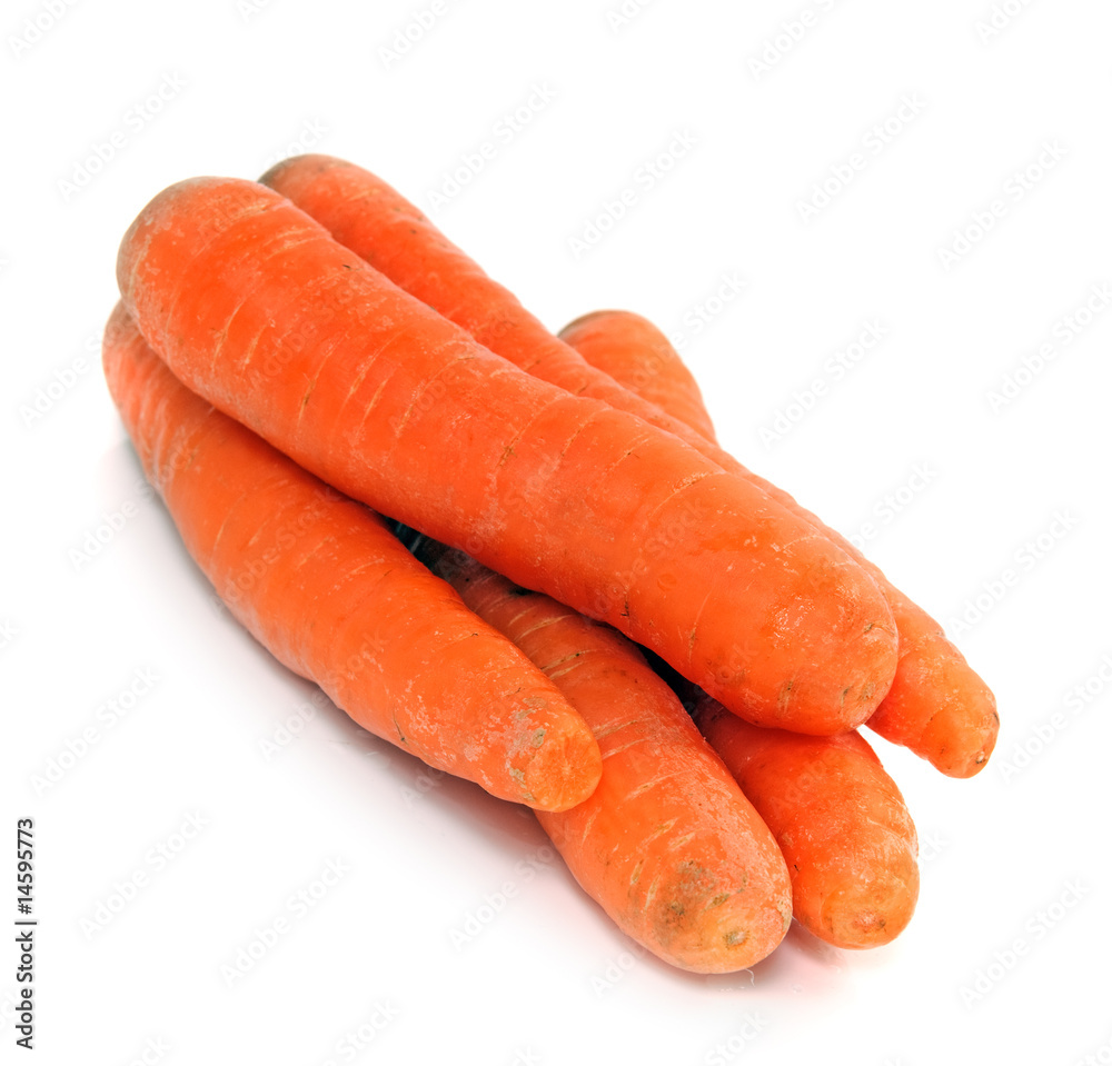 carrot carrot