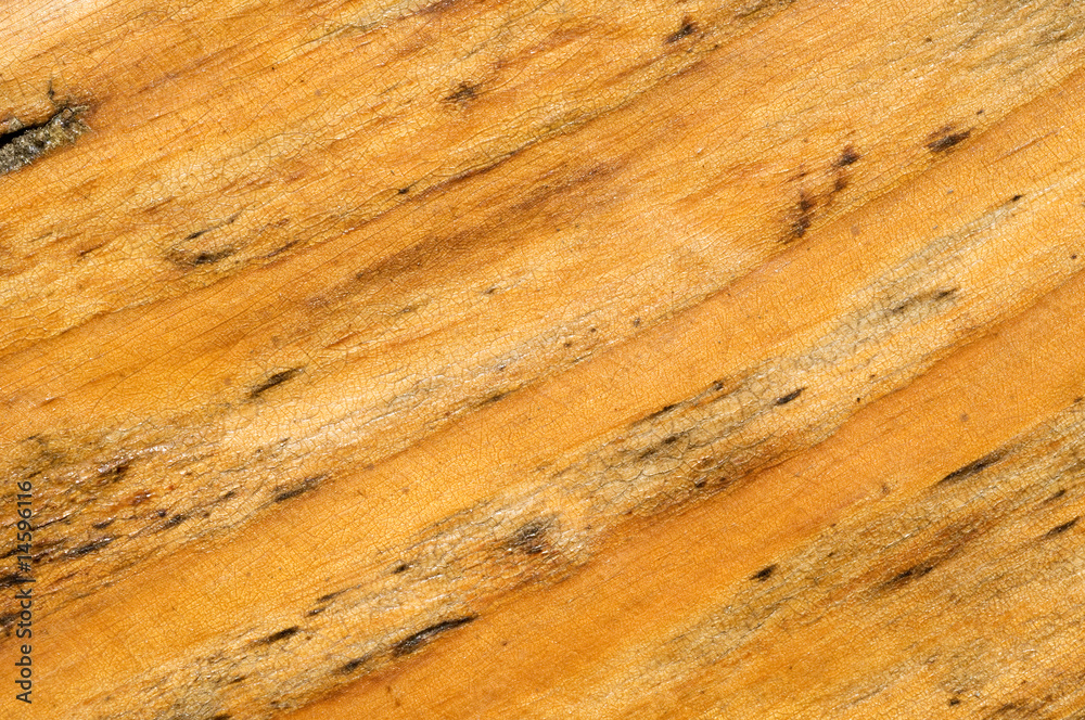 Wood texture Wood texture