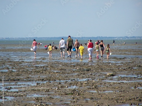 La pêche à pied photo