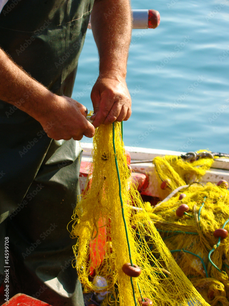 Obraz premium Fischfang