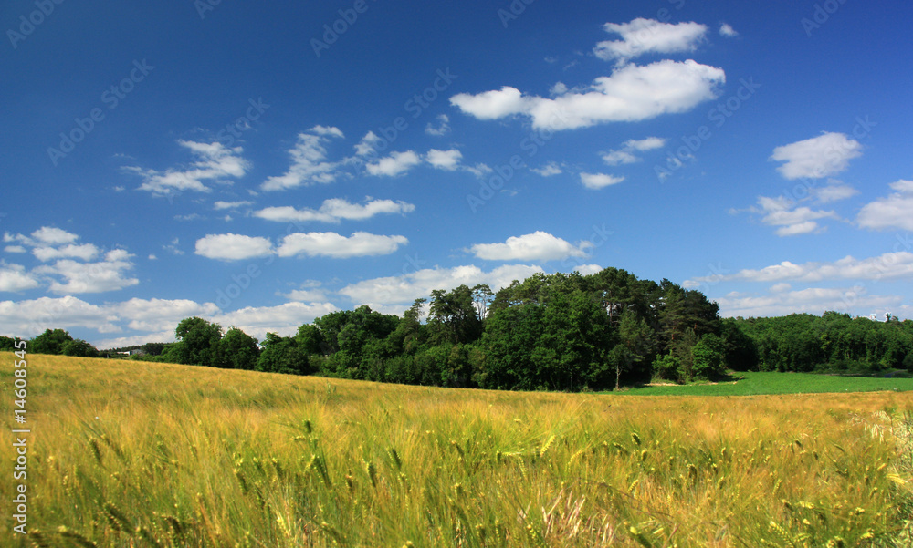 paysage de campagne