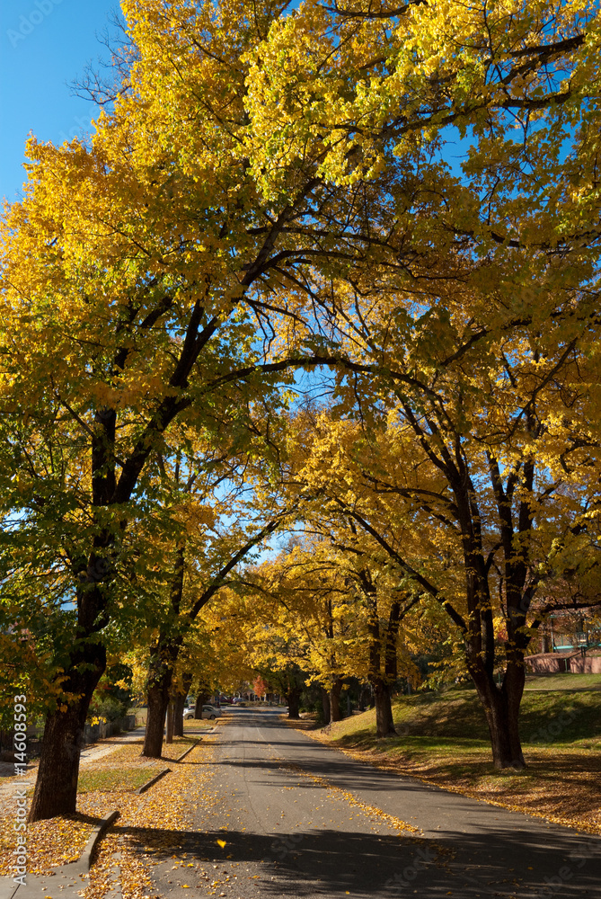 Naklejka premium Autumn in Bright, Victoria, Australia