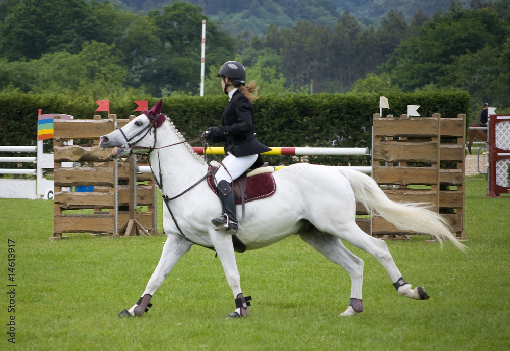 Foto Stock Hípica Adobe Stock