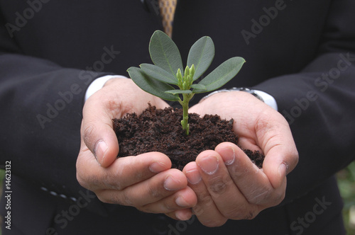 Successful business growth