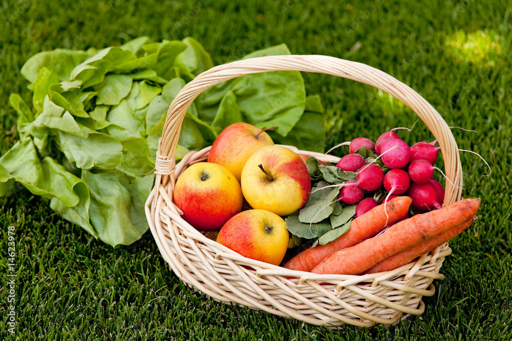Fruit and vegetables in the basket with his wife