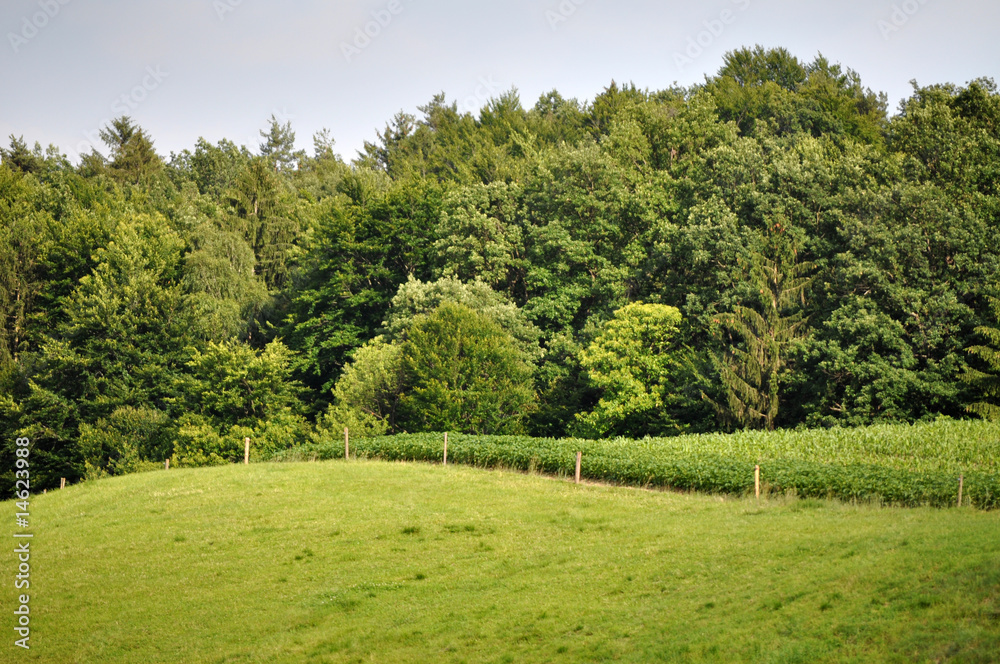 Obraz premium Spring Landscape