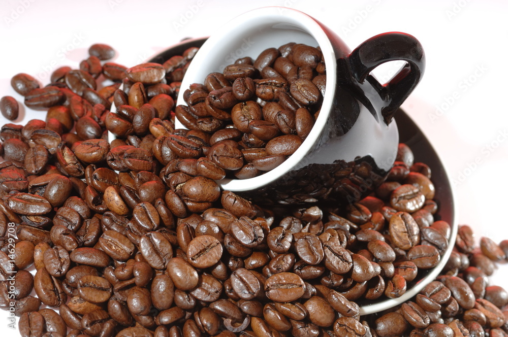 Arabica Kaffeebohnen für vollen Kaffeegenuss Arabica Kaffeebohnen für vollen Kaffeegenuss
