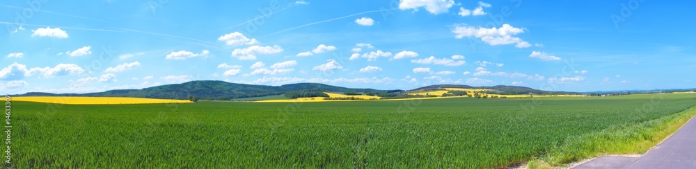 Fototapeta premium natur