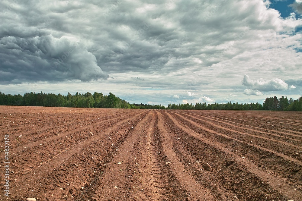 Ploughed field. Fresh tillage under cloudy sky