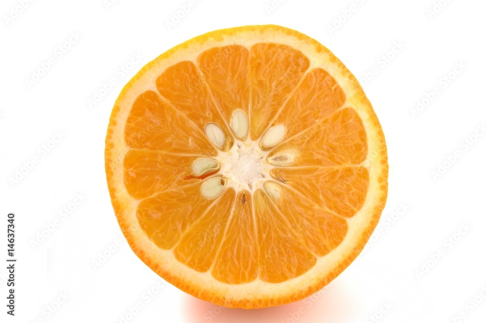 甘夏 甘夏