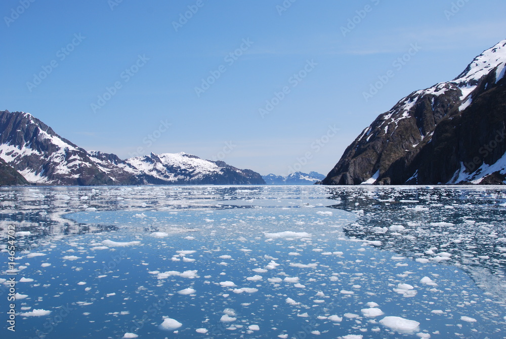 Glacial icebergs in Alaska