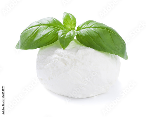 mozzarella cheese ball with basil leaf isolated on white