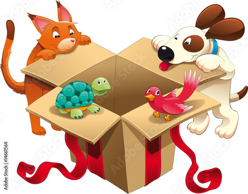 Gift and pets
