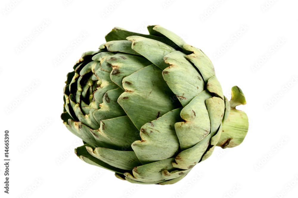 Fototapeta premium Artischocke