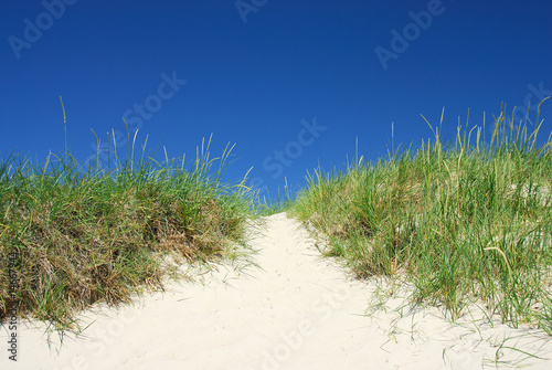 Strandweg   ber die D  nen 038