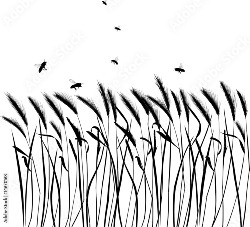 Set of vector grass silhouettes backgrounds for design use
