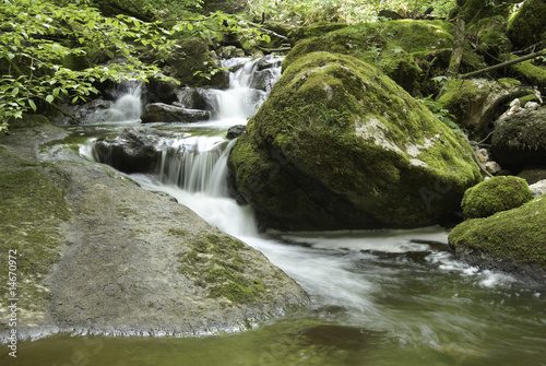 Bach in Twannschlucht, Twann, Bern,Schweiz