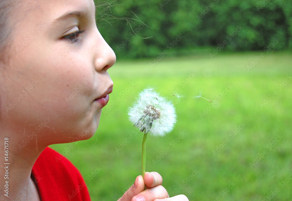 girl blowing dandelion on a meadow and have fun girl blowing dandelion on a meadow and have fun