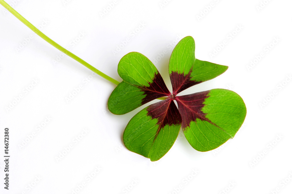 Glück Stock Photo | Adobe Stock