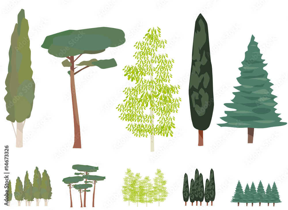 Planche d'arbres