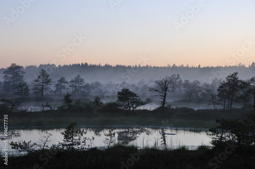 Misty evening in Kakerdaja Bog