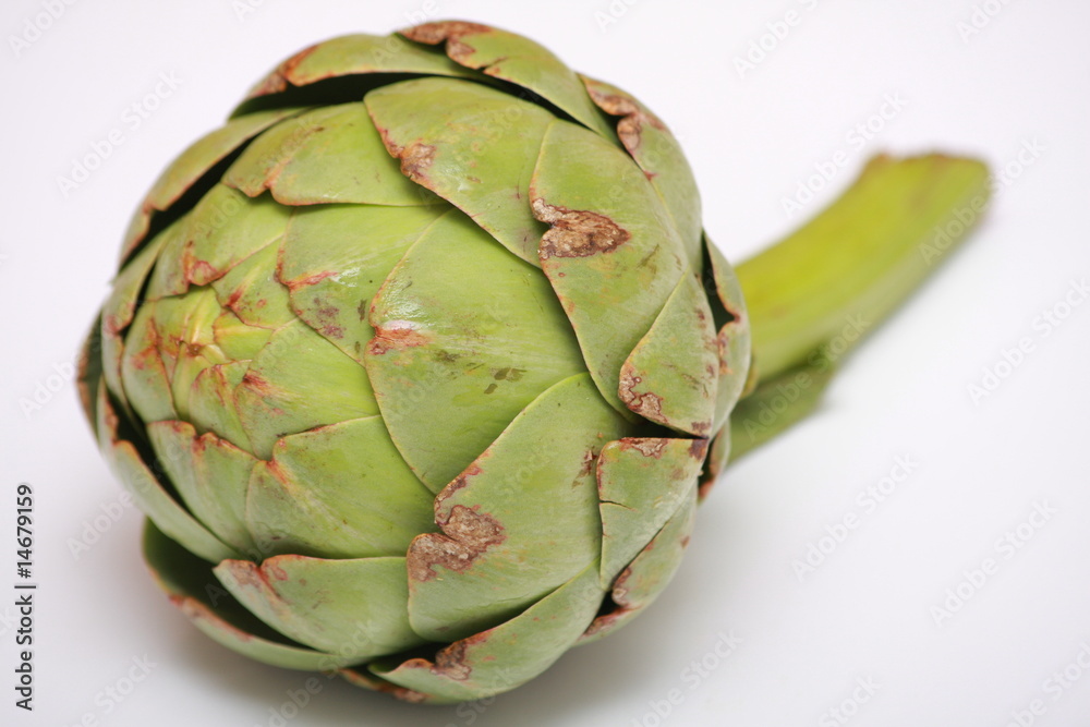 Obraz premium artichaut