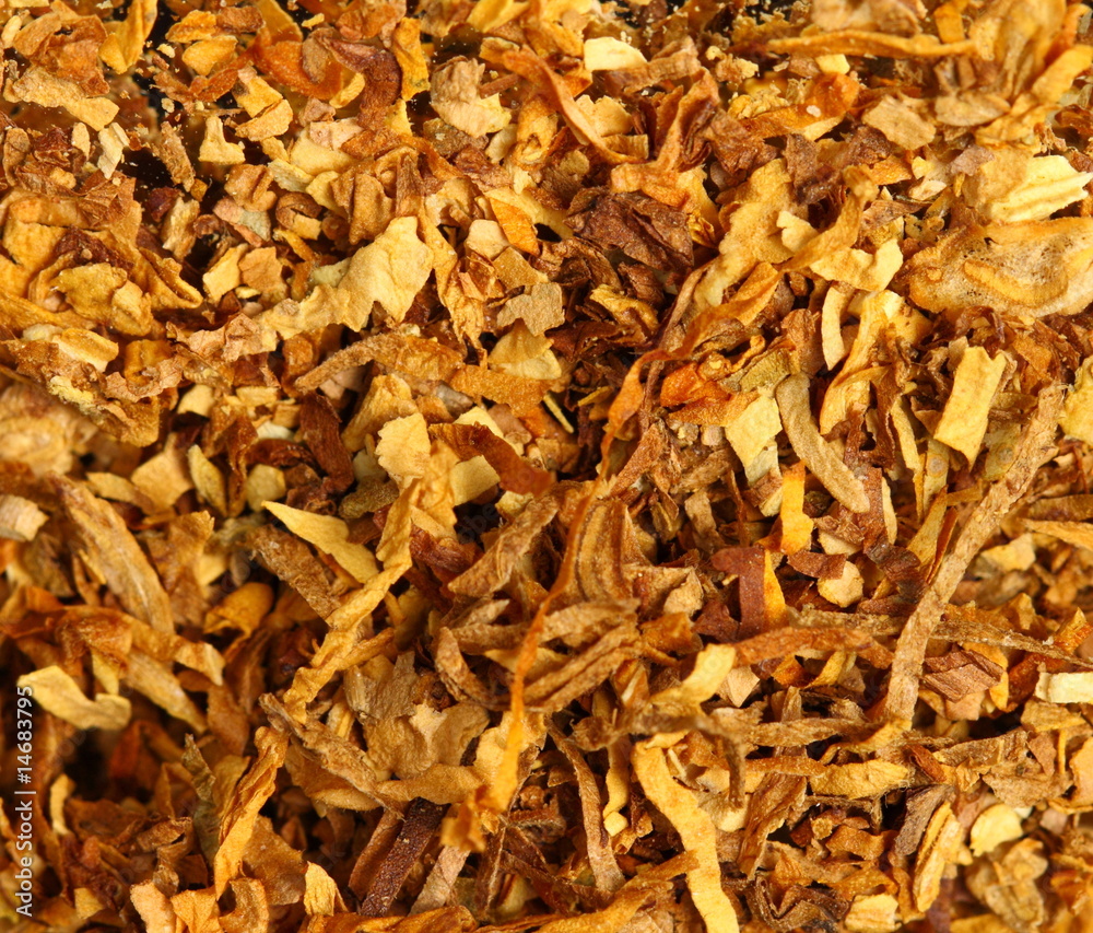 tobacco texture tobacco texture