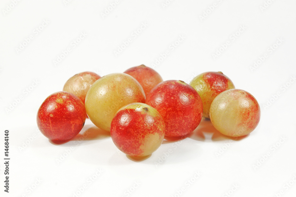 Camu Camu Camu Camu