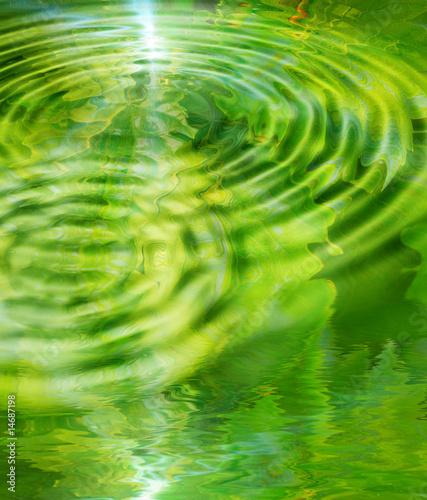 green leaves reflection © mettus