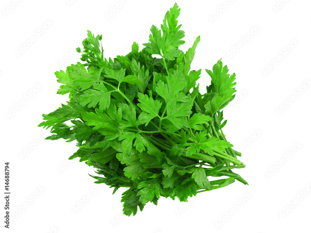 Parsley on white background.Isolated Parsley on white background.Isolated