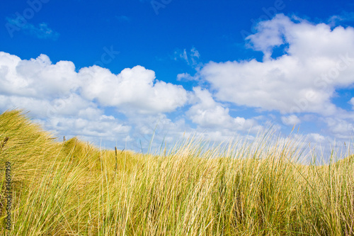 D  nenlandschaft