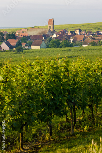 Voegtlinshoffen  Alsace  France